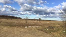 Eladó lakóövezeti telek Dabas