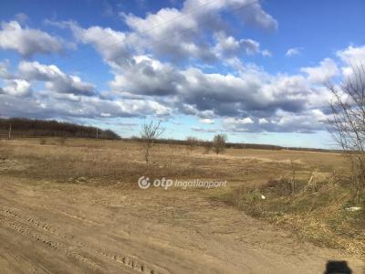 Eladó lakóövezeti telek Dabas