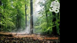 Eladó külterületi telek Kecskemét