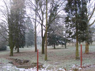 Eladó lakóövezeti telek Zalaegerszeg