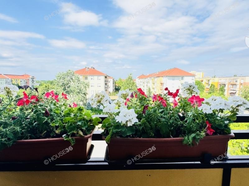Eladó lakás Kecskemét