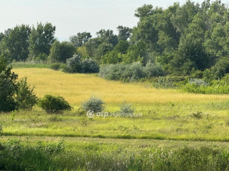 Eladó lakóövezeti telek Kisköre