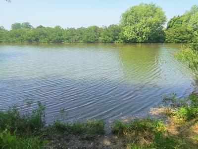 Eladó nyaraló Szolnok