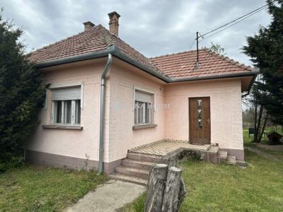 Eladó családi ház Dánszentmiklós