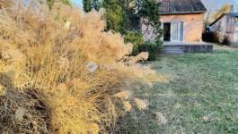 Eladó családi ház Kiskunlacháza