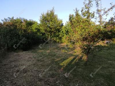 Eladó egyéb telek Veszprém