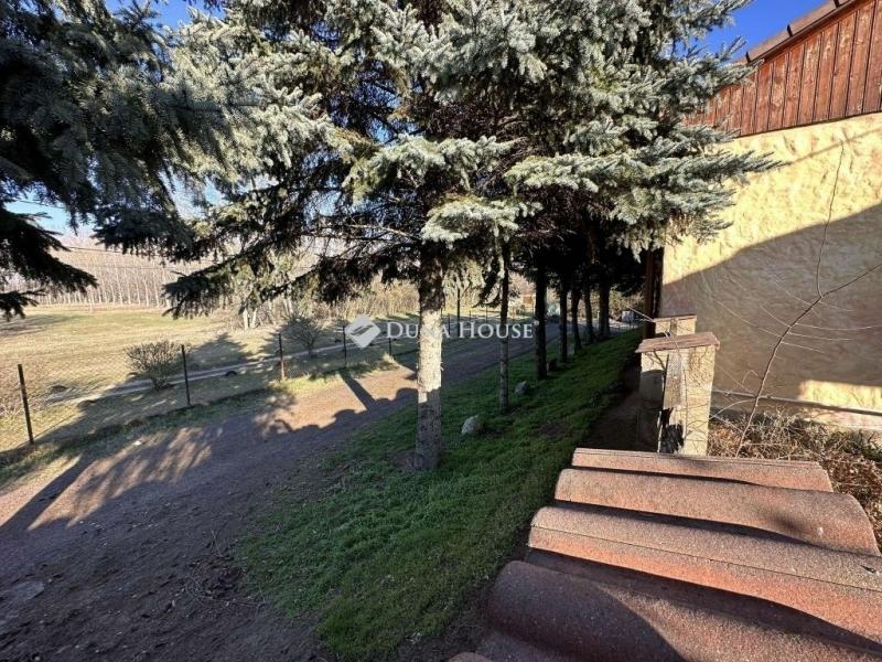 Eladó családi ház Hernád