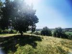 Eladó étterem, vendéglő Bonyhád