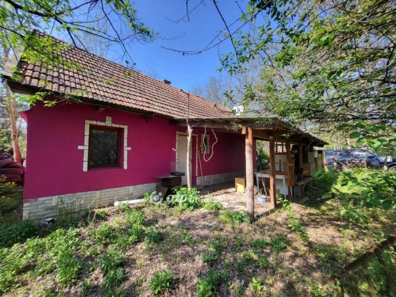 Eladó tanya Albertirsa