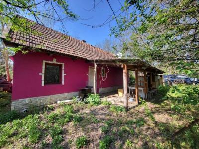 Eladó tanya Albertirsa