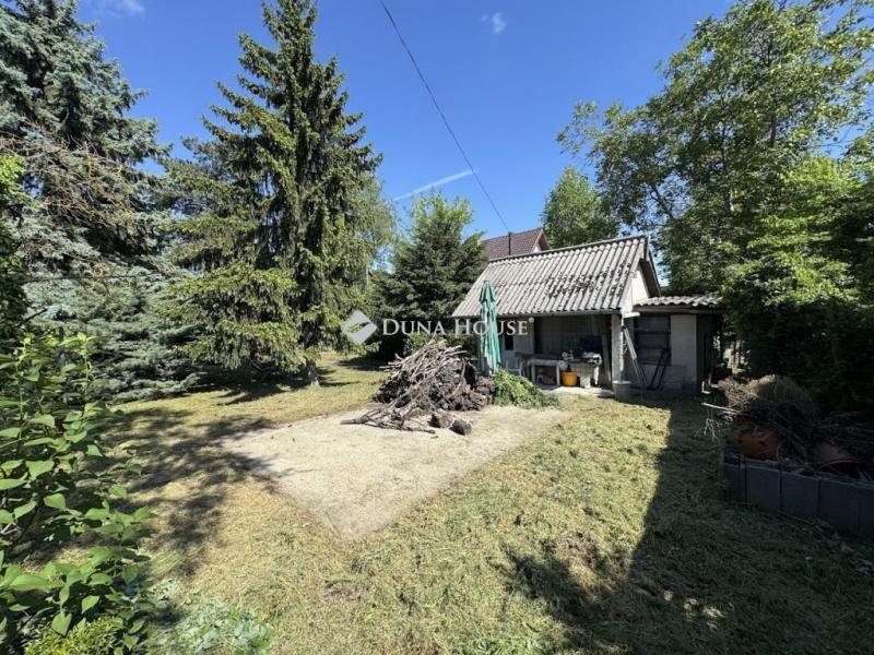 Eladó üdülőövezeti telek Szigetszentmiklós