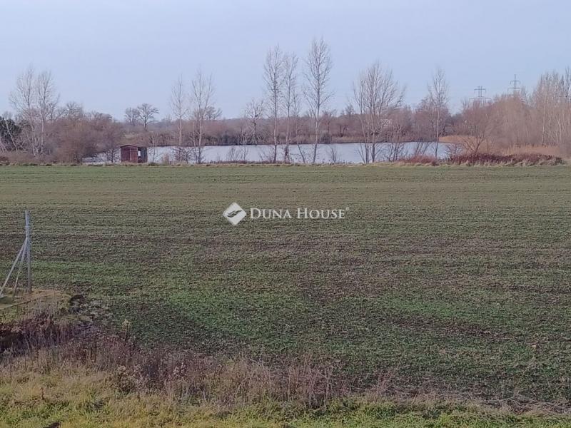 Eladó külterületi telek Győr