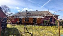 Eladó tanya Csongrád