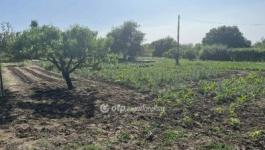 Eladó lakóövezeti telek Cegléd