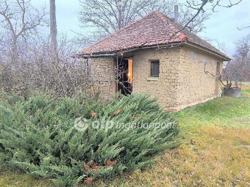 Eladó családi ház Csongrád