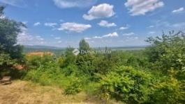 Eladó családi ház Pomáz