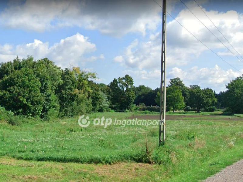 Eladó külterületi telek Botykapeterd