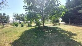 Eladó családi ház Martonvásár