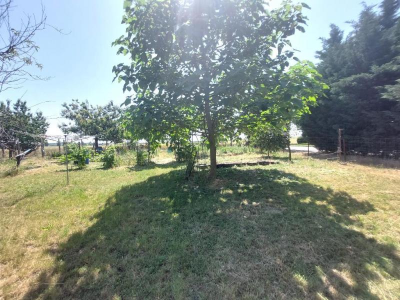 Eladó családi ház Martonvásár