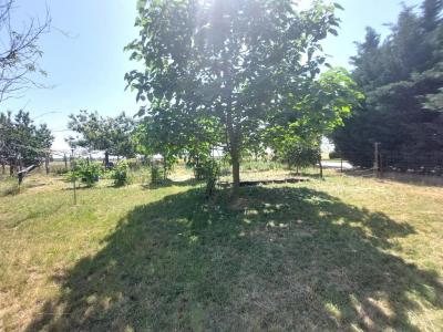 Eladó családi ház Martonvásár