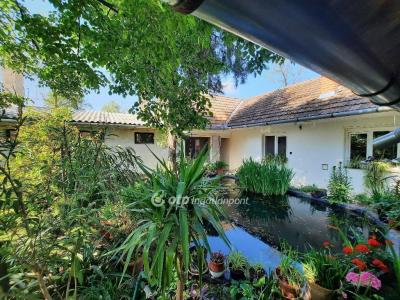 Eladó tanya Cegléd