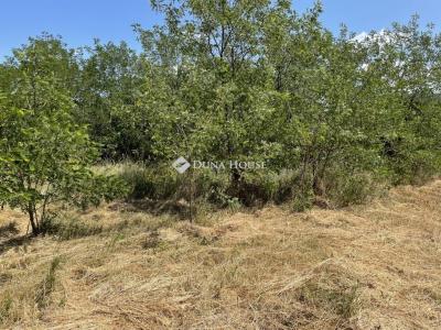 Eladó lakóövezeti telek Jobbágyi