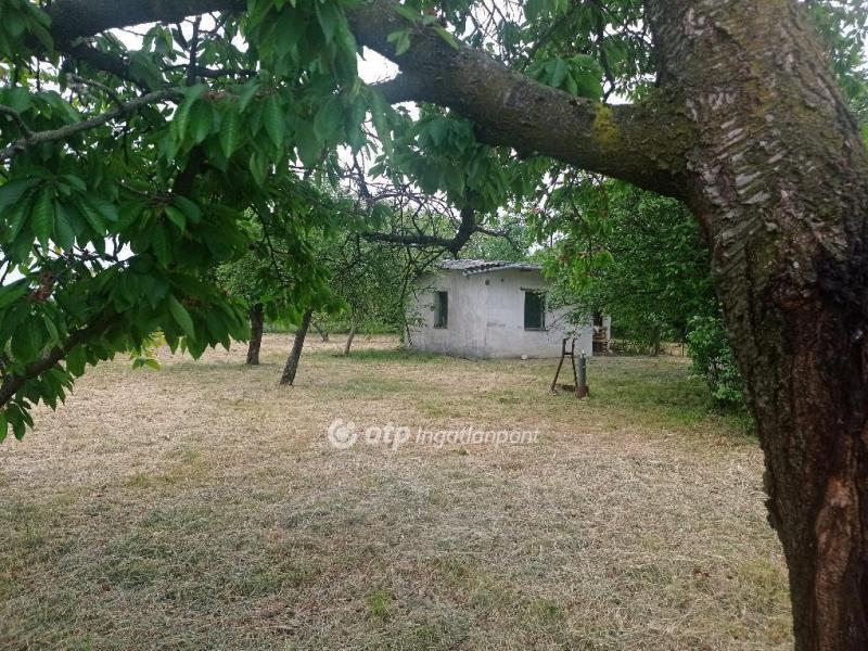 Eladó külterületi telek Békés