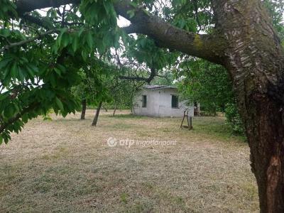 Eladó külterületi telek Békés