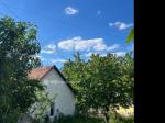 Eladó családi ház Budakeszi
