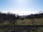 Eladó külterületi telek Balatonalmádi