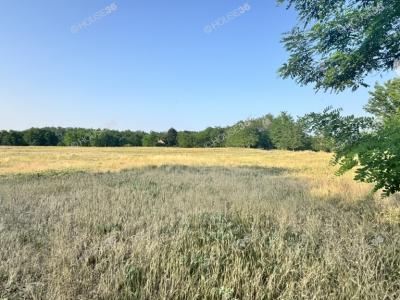 Eladó külterületi telek Kecskemét