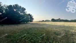 Eladó külterületi telek Kecskemét