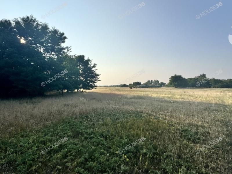 Eladó külterületi telek Kecskemét
