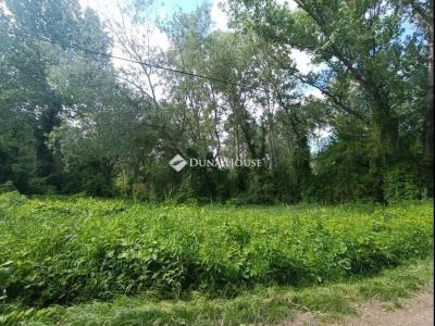 Eladó családi ház Budapest