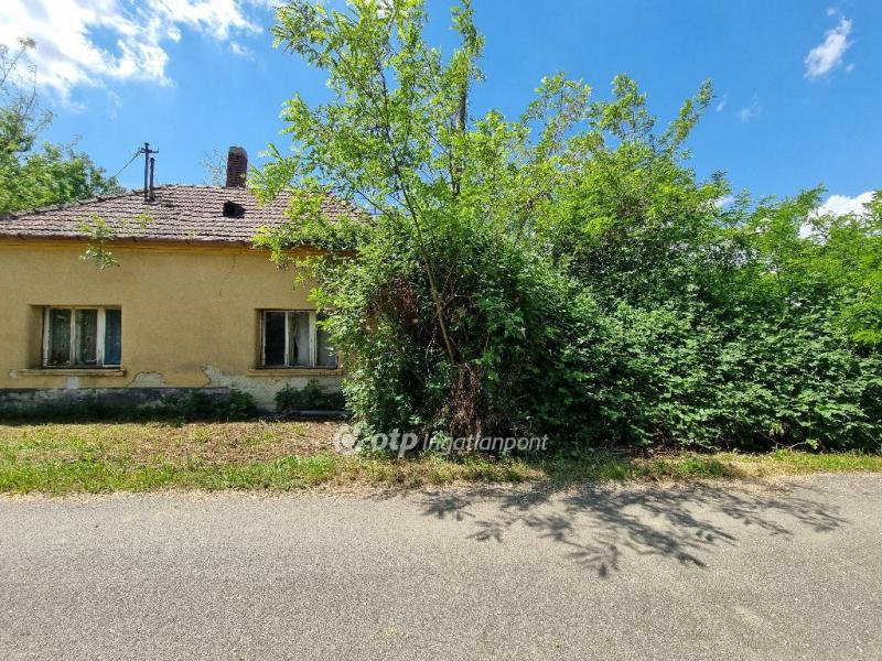 Eladó lakóövezeti telek Mihályháza