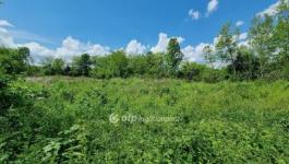 Eladó lakóövezeti telek Mihályháza