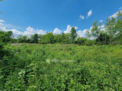 Eladó lakóövezeti telek Mihályháza