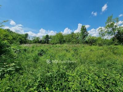 Eladó lakóövezeti telek Mihályháza