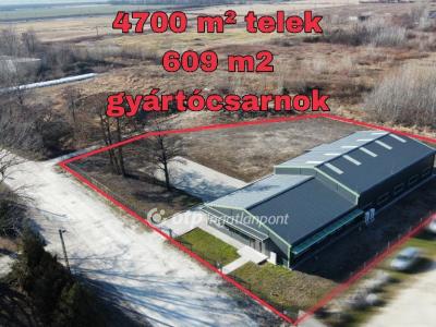 Eladó műhely Pápa