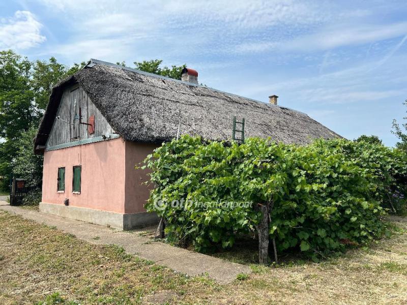 Eladó tanya Nyírtelek
