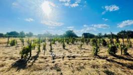 Eladó lakóövezeti telek Debrecen