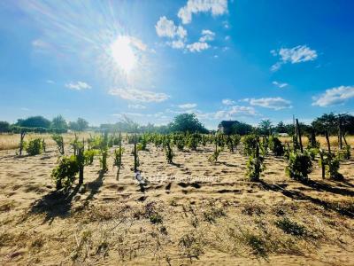 Eladó lakóövezeti telek Debrecen