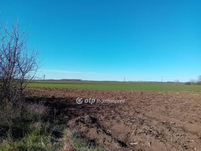 Eladó egyéb telek Körösszakál