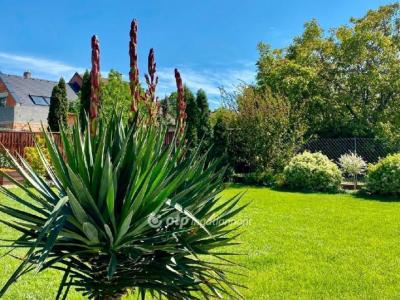 Eladó ikerház Budapest