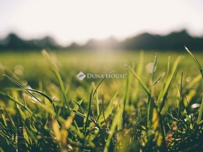 Eladó külterületi telek Gyömrő