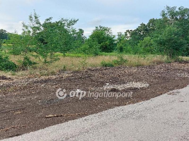 Eladó lakóövezeti telek Felcsút