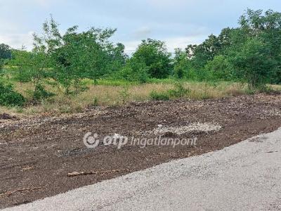 Eladó lakóövezeti telek Felcsút
