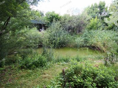 Eladó lakóövezeti telek Kecel