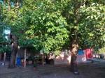 Eladó családi ház Debrecen