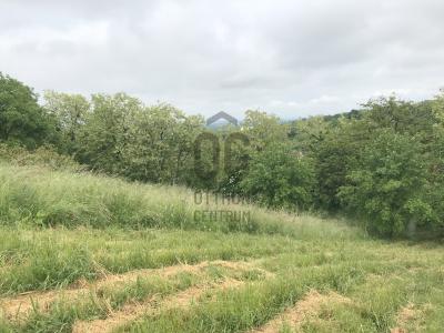 Eladó lakóövezeti telek Zalaegerszeg